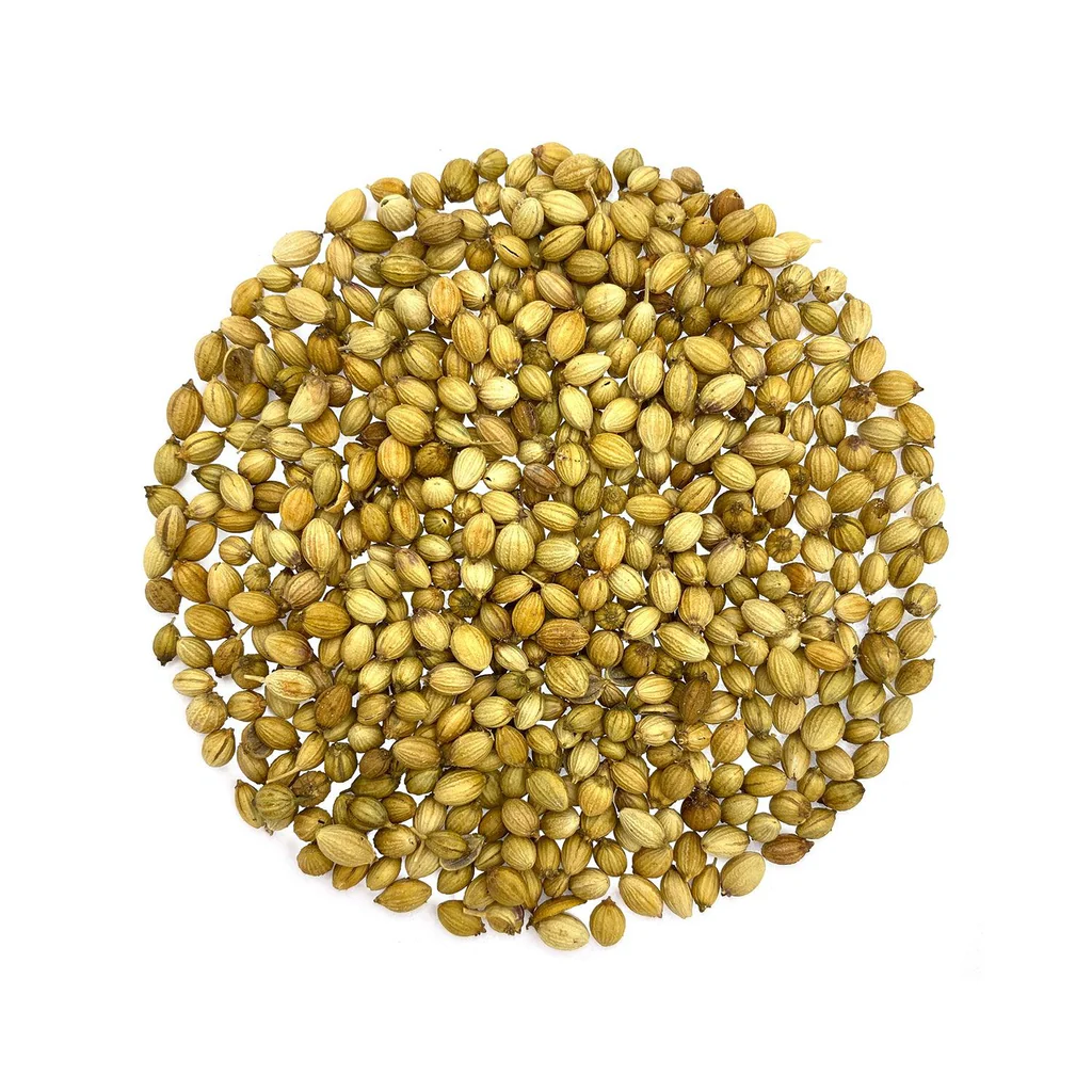 Coriander